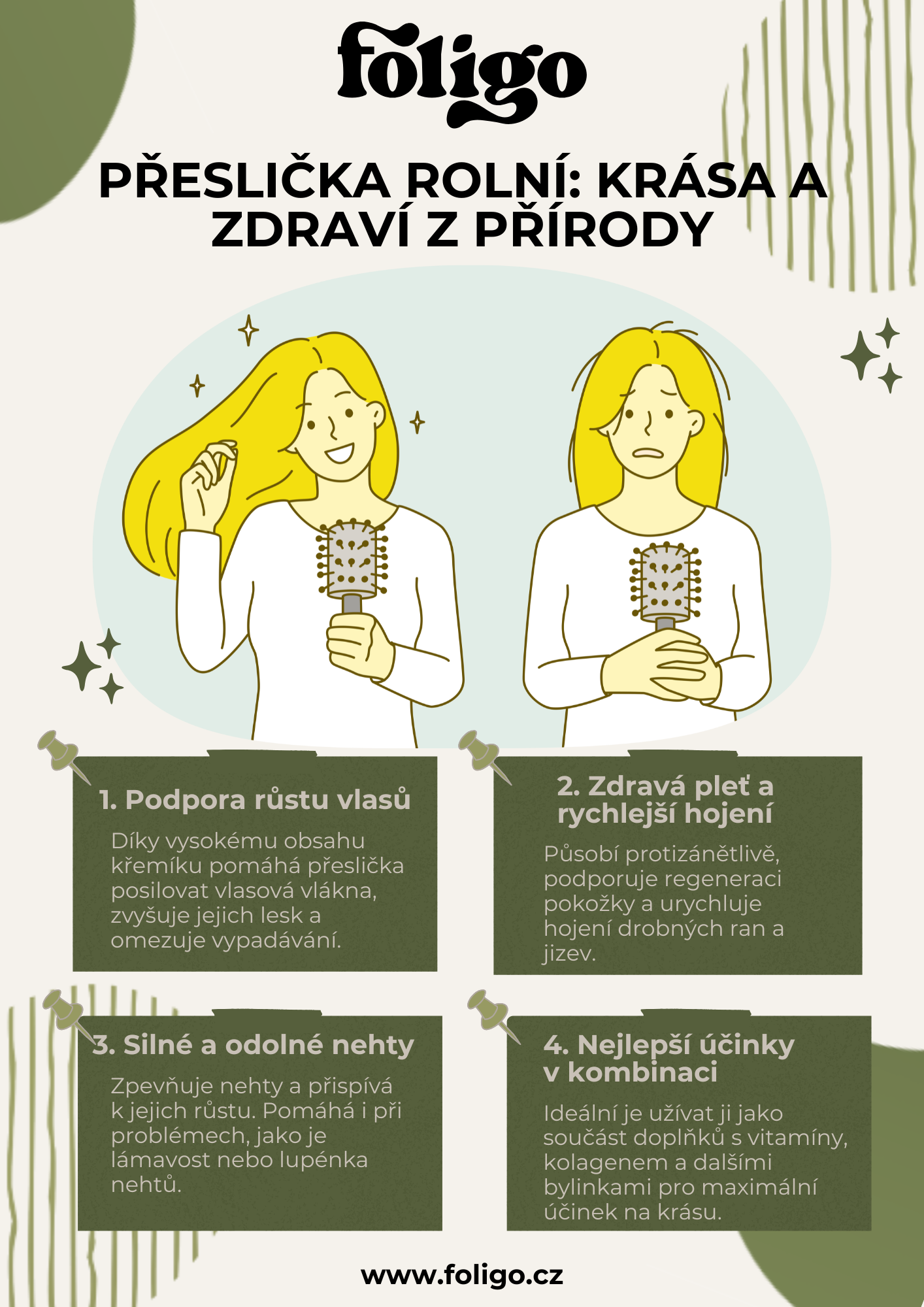 Infografika - přeslička rolní účinky na vlasy